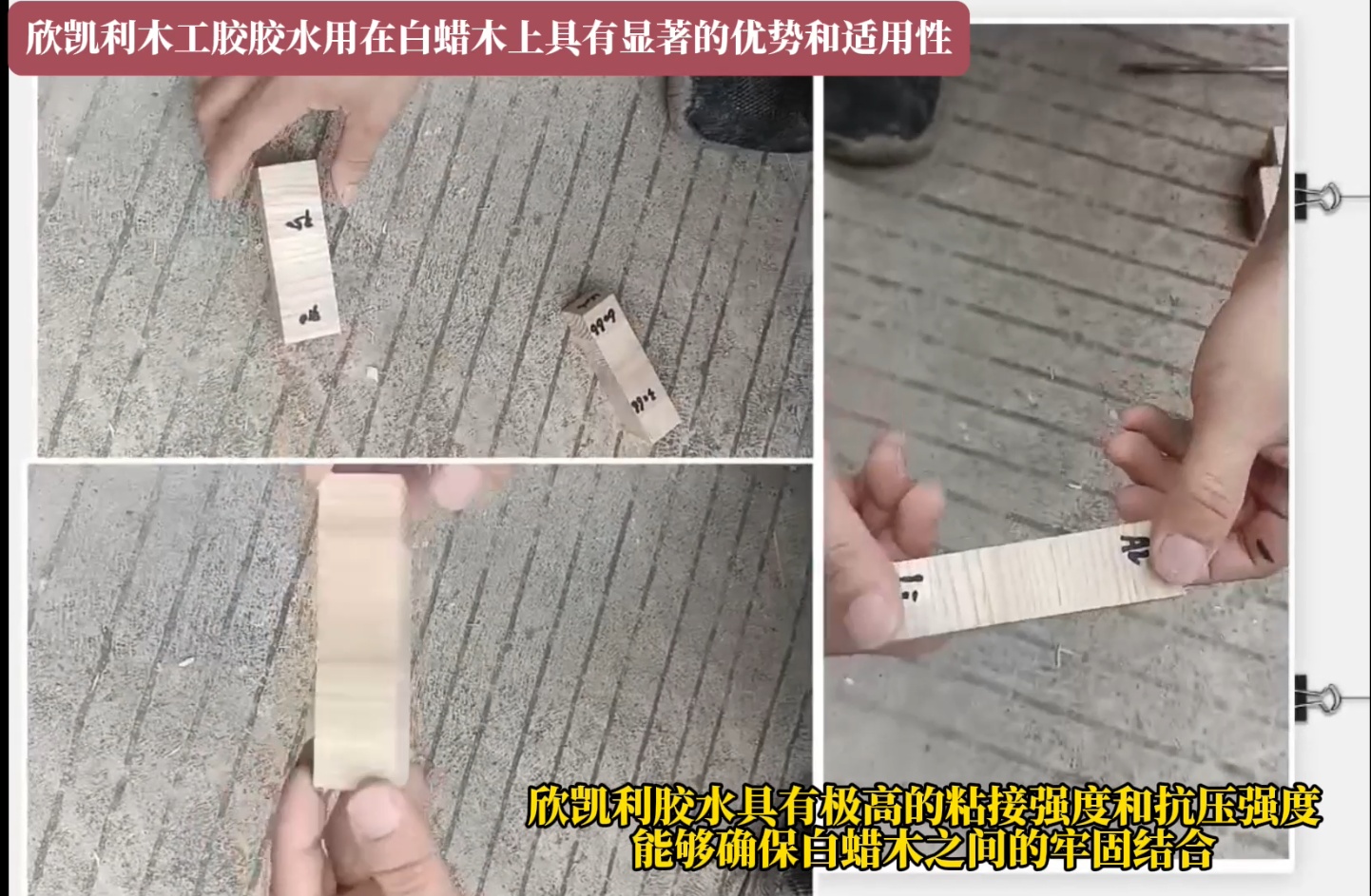 欣凱利木工膠膠水用在白蠟?zāi)旧暇哂酗@著的優(yōu)勢和適用性