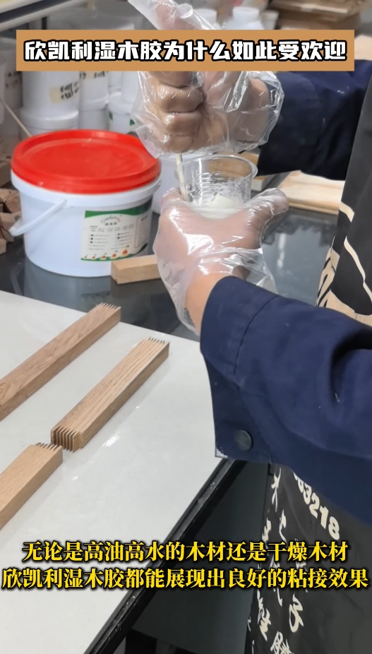 欣凱利濕木膠為什么如此受歡迎